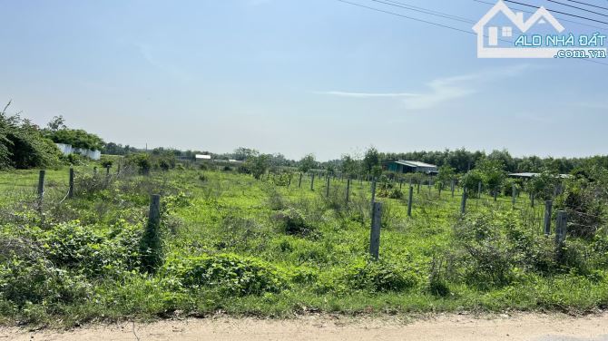 🌅 Bán Đất Nghỉ Dưỡng Long Mỹ - TT Phước Hải BRVT | 910m², View Núi & Hồ Bút Thiền 🌳 - 4