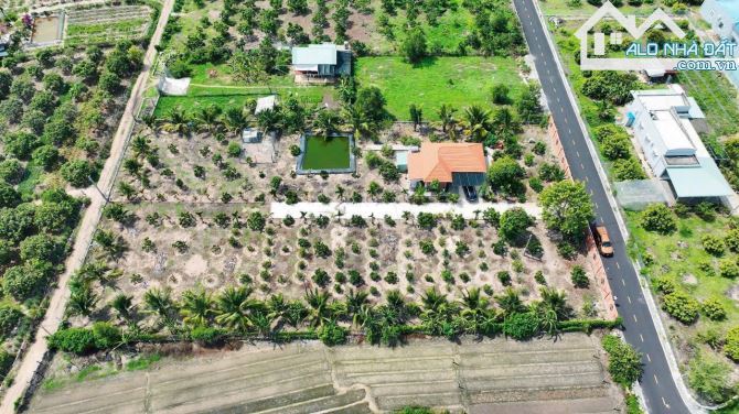 🌟 SIÊU ĐẸP Xã Phước Hải – 1000m², cách biển chỉ 3km, view núi Minh Đạm 🌊 - 4