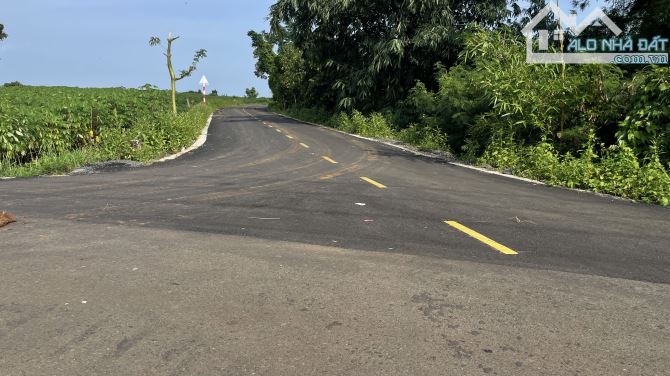 Bán Đất 3 lô liền kề Xây nhà trọ ngay cổng sau khu công nghiệp Đất Đỏ -Xã Đất Đỏ-Thành Phố - 4