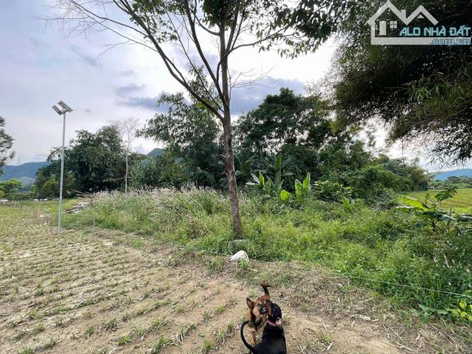 📌📌📌LÀM VIỆC TRỰC TIẾP GIÁ TỐT !!! Bán  lô view sông thôn nam yên hòa bắc - 4