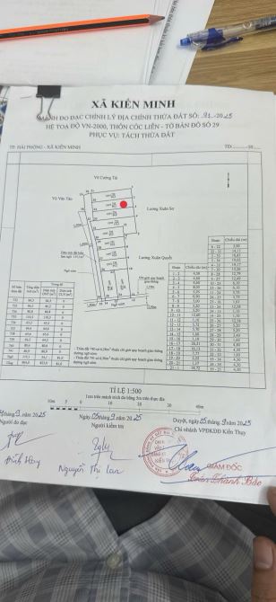 86,2m2 đất Cốc Liễn, Minh Tân, Kiến Thụy gần trung tâm - 5