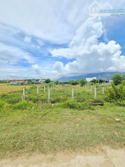 🌈 Bán nhanh lô đất 1,5 Tỷ lô đất 2 mặt tiền Xã Ninh Hưng - Ninh Hòa - Khánh Hòa - 5