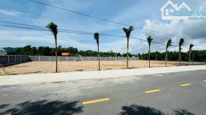 💥 Bán 11 lô đất FO mặt tiền đường nhựa Phước Hải – Giá chỉ từ 1,06 tỷ 🌿 - 5