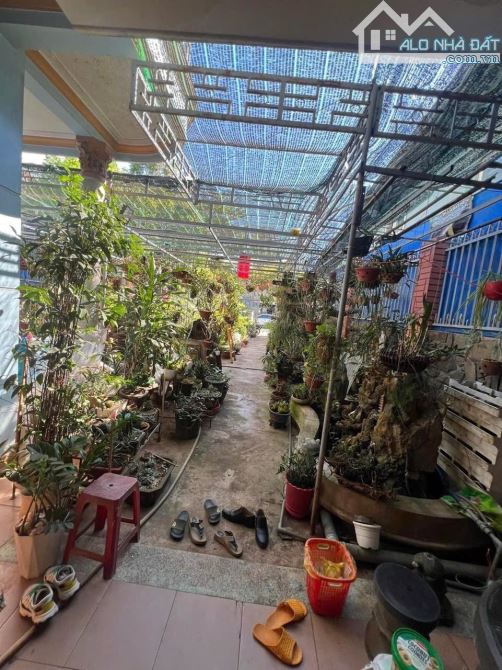 💥 [12 TỶ] CẦN BÁN MTKD AMA JHAO DT 9,5x23– CÁCH CO.OPMART & MƯỜNG THANH 500M - 5