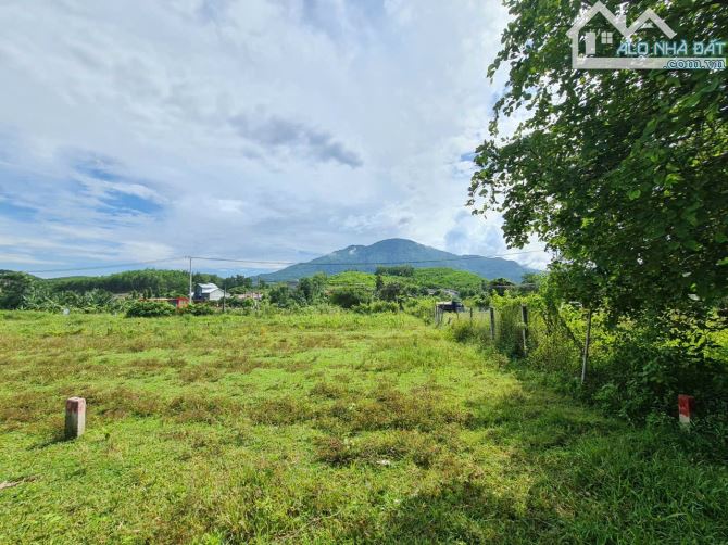 🌈Hạ Giá Bán lô đất 1,45 Tỷ mặt tiền đường Tỉnh Lộ 8 - Diên Xuân - Diên Khánh. - 5