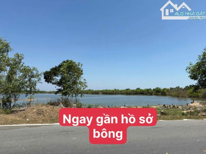 🌊 Bán đất Phước Hải 274m² view núi – gần Lan Rừng Resort, giá chỉ 2,15 tỷ 🌿🏡 - 5