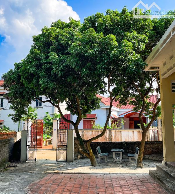 Mua đất tặng nhà C4 250M_100M đất ở bám trục chính liên thôn ô tô vào tận đất_Ba Vì - 5