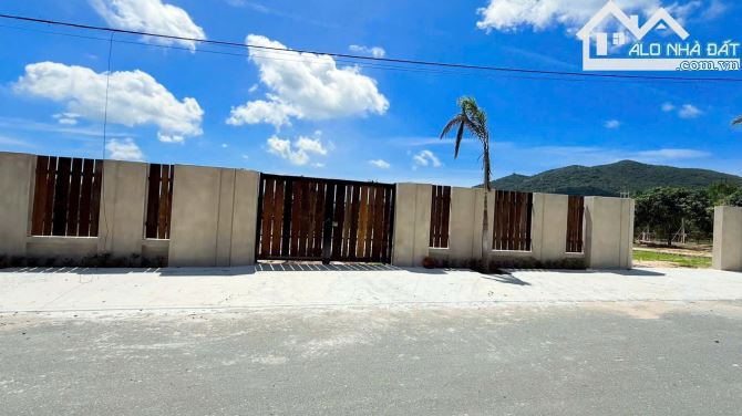 🌿 2 lô đất mặt tiền nhựa TT Phước Hải – View núi, gần biển, giá chỉ từ 2.5 tỷ 🏡 - 5