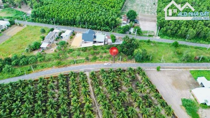 🍃 Vườn bơ gần biển Phước Hải – 2 lô đất đẹp, thổ cư sẵn, giá chỉ từ 1.65 tỷ - 5