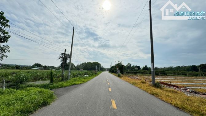 🏞️ BRVT Phước Hội 2588m², cách biển 3km, đất ở 100m², giá chỉ 1.3 tỷ/sào, đầu tư siêu - 5