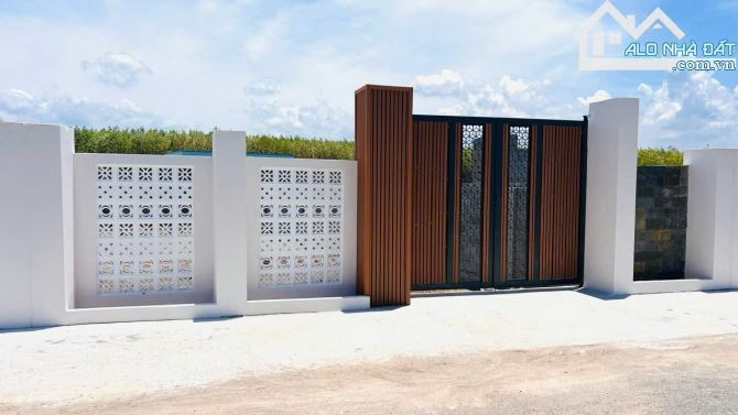 🌟 Bán gấp 2 lô đất sổ riêng TT Phước Hải – DT 216,7m² & 253m², cách biển 5 phút ⛱️ - 6