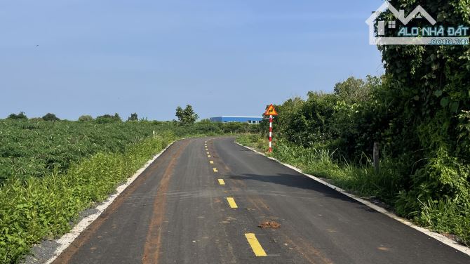 Bán Đất 3 lô liền kề Xây nhà trọ ngay cổng sau khu công nghiệp Đất Đỏ -Xã Đất Đỏ-Thành Phố - 6