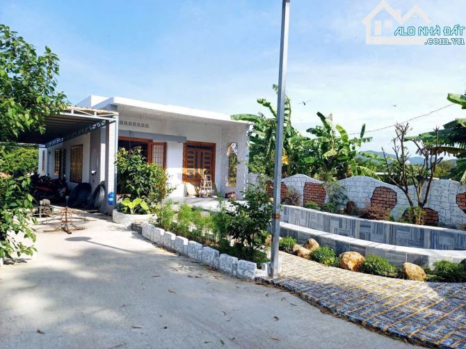 🏡 Nhà vườn 707m², thổ cư 100m², mặt tiền đường nhựa 8m, xã Phước Hải, giá 3.5 tỷ 💰 - 7