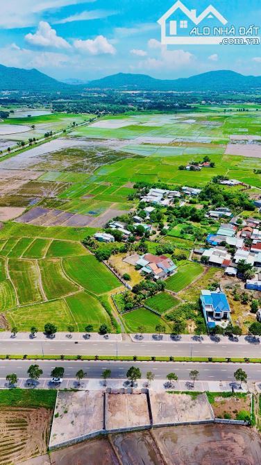🌊 Bán đất mặt tiền TL44A – Xã Phước Hải, 82m² full thổ cư, DT sử dụng 150m², gần biển, gi - 8