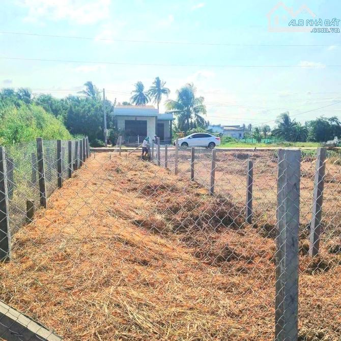 Hàng Vip, 150m2 đất thổ cư 5x 30m đường hàng cau vua, 380tr - 8