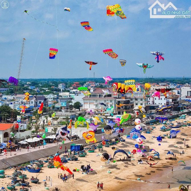 🥑 Bán vườn bơ 235,6m² tại TT Phước Hải – gần biển, full thổ cư, giá 2,25 tỷ 🏝️ - 8