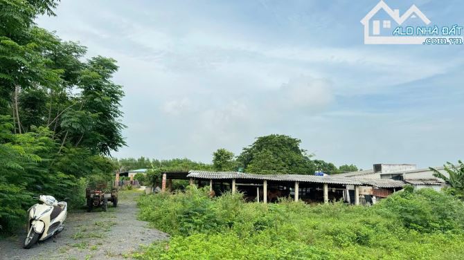 🏞️ BRVT Phước Hội 2588m², cách biển 3km, đất ở 100m², giá chỉ 1.3 tỷ/sào, đầu tư siêu - 8