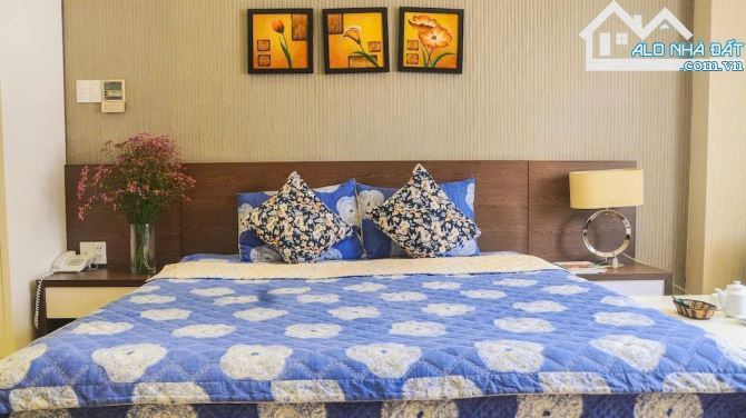 Bán Hotel - Mặt tiền Lê Thánh Tôn, p.Bến Nghé,Q1- DT: 4,5mx21m -Giá: 115 Tỷ -HĐT: 250tr/th - 9