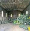 Cho thuê kho xưởng bãi 305m² kho xây dựng 213m² KV3 (P. Ba Láng, Q. Cái Răng cũ), P. Cái R