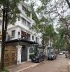 🔥 SIÊU PHẨM BIỆT THỰ SONG LẬP - PHÂN LÔ VIP NHÀ Ở QUỐC HỘI - 140m2- Ô TÔ TRÁNH🔥