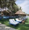 🌊💎 MẶT TIỀN CỬA ĐẠI – HỘI AN | 330,7m² VỊ TRÍ VÀNG | GIÁ 16,5 TỶ 💎🌊