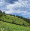 Bán lô đất tại chân đèo Pren, Hiệp An, Đức Trọng, Lâm Đồng, 21,5 tỷ, 6800 m2, view đẹp.