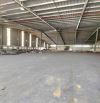 Cho thuê nhà xưởng sản xuất 1000m2 trong CCN Tam Phước Biên Hòa Đồng Nai giá rẻ