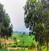 Chỉ hơn 2tỷ, có ngay 625m2 đất Ba Trại, gần Hồ Suối Hai, TL 86, nở hậu, đg thông, view đẹp
