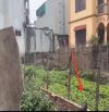 Bán đất 65.5m²  Mai Lâm – Đường ngõ thông, quy hoạch mở rộng 7.5m,giá 5 tỷ.