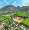 🏞️ 10 lô liền kề trục chính Phước Hưng – Phước Hải, gần biển Lan Rừng Resort 2km