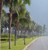 GẦN BIỂN! BÁN ĐẤT 2 MẶT TIỀN 212M² - 69,96 TỶ - MT HOÀNG SA - Q. SƠN TRÀ