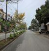 Bán căn liền kề 3,5 tầng mặt Lý Anh Tông Đại Hoàng Long, tp BN. ♦️ DT: 87,5m2.