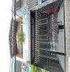 💥 HẺM XE HƠI THÔNG – ĐƯỜNG THỐNG NHẤT – 56M² – 3PN – GIÁ CHỈ 4.5 TỶ 💸