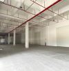 CHO THUÊ NHÀ XƯỞNG XÂY MỚI TẠI TP TRÀ VINH - DT THEO NHU CẦU KHÁCH HÀNG