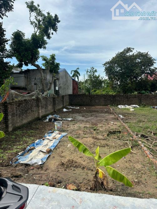 🌳Lô Đất Kiều Hạ – Quốc Tuấn – An Dương 54m². Ngõ Ô Tô Tận Nơi - giá chỉ 750tr - 1