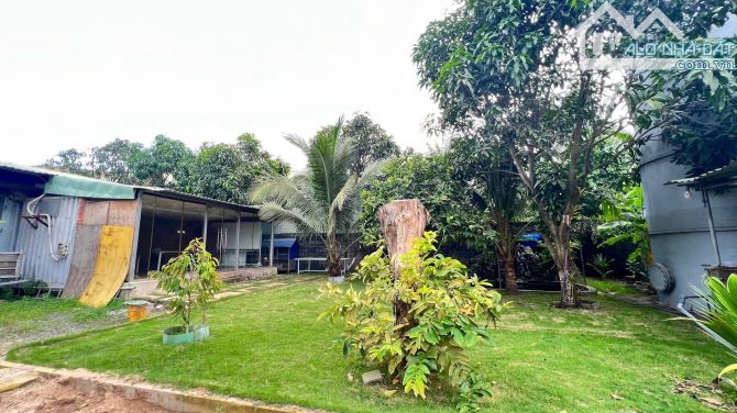 Cho thuê 2.4ha bãi đất trống bằng phẳng tại Phước Tân, Biên Hòa, giá thuê 5k/m2/tháng