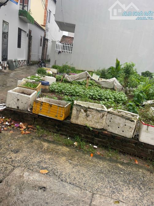 HAI BỐI Gần bìa làng,Cách 50m ra  đường quy hoạch ven sông mở rộng 17m.Đường trải nhựa sạc