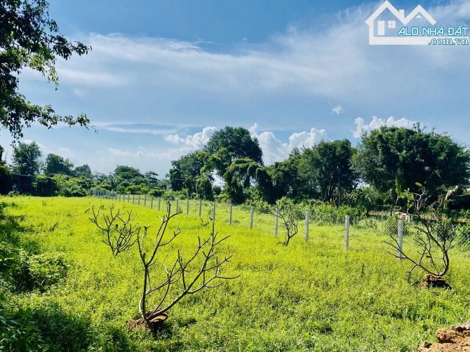 🌴 Bán đất 1055m² gần biển Phước Hải, cách TL44B 100m, giá chỉ 3,3 tỷ 🌊