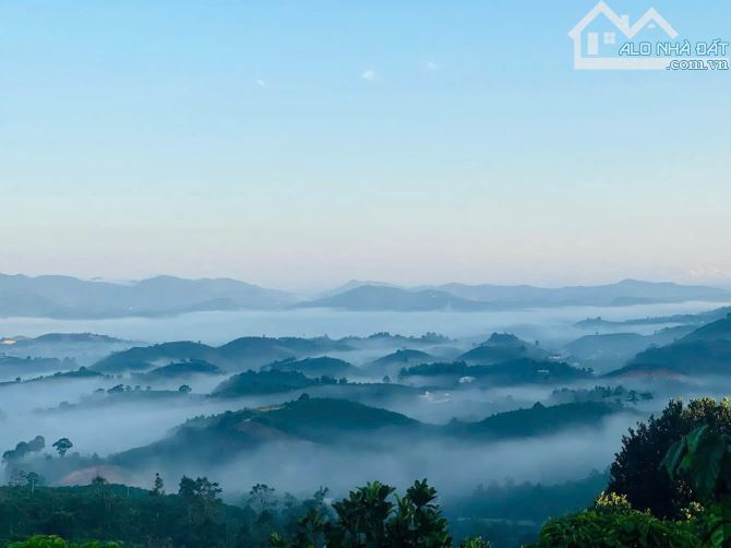 Trốn phố tìm mây, sở hữu 1000m2 đất nền nghỉ dưỡng tại Bảo Lộc