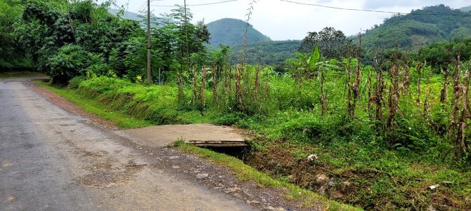 Cần chuyển nhượng thửa đất 800m/200m TC tại Chợ Nội - Cao Dương giá chỉ 1,5 tỷ đồng