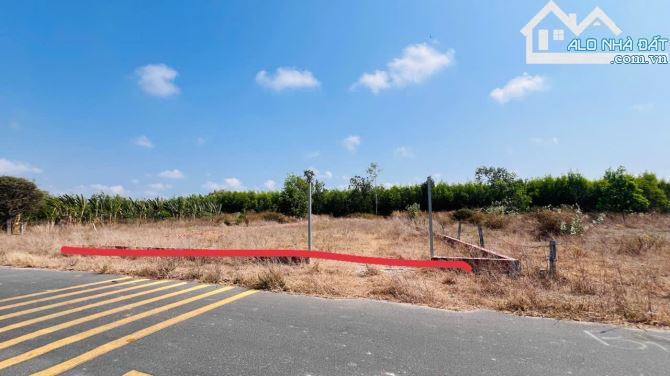 🌅 BÁN ĐẤT XÃ PHƯỚC HẢI TP HCM – 1106M² GẦN BIỂN, VIEW NÚI MINH ĐẠM – GIÁ 4.55 TỶ