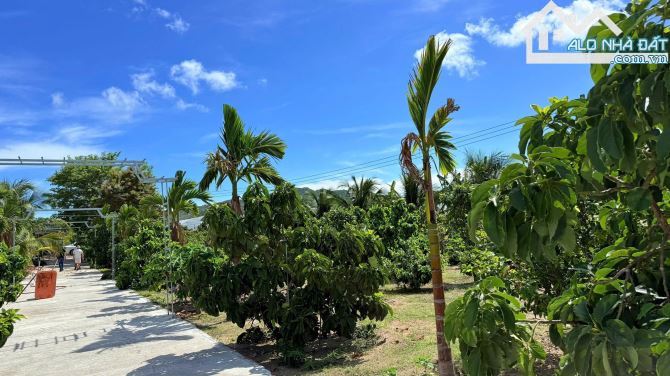 🌳 SIÊU ĐẸP – ĐẤT XÃ PHƯỚC HẢI TP HCM, CÁCH BIỂN CHỈ 3KM – 1000M² GIÁ 5 TỶ