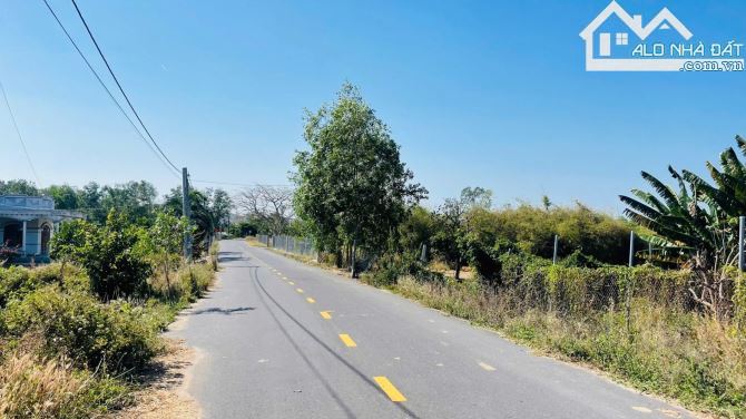 🌄 BÁN ĐẤT TT PHƯỚC HẢI – VIEW NÚI, GẦN BIỂN, 1473M² – GIÁ 4.5 TỶ