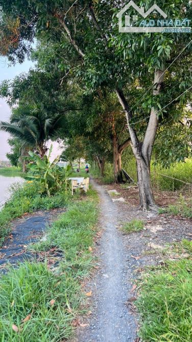 Bán 6200m2 đất CLN - Giáp ranh GS Hàn Quốc 350ha - Siêu đầu tư