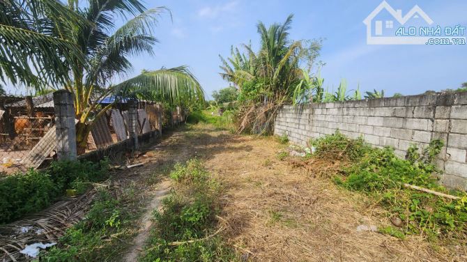 bán đất 6x33 Full Thổ Cư, Nguyễn Tri Phương, Tân Bình, LaGi. gần biển, giá rẻ, đường 6m