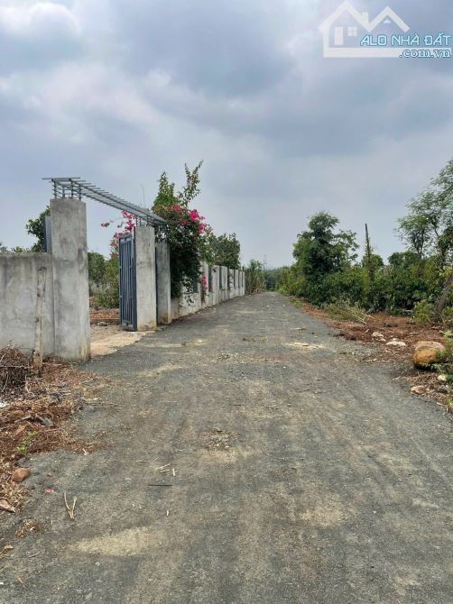 BÁN NHÀ VƯỜN 6.5 SÀO VIEW RUỘNG XÃ HOÀ KHÁNH TP BMT