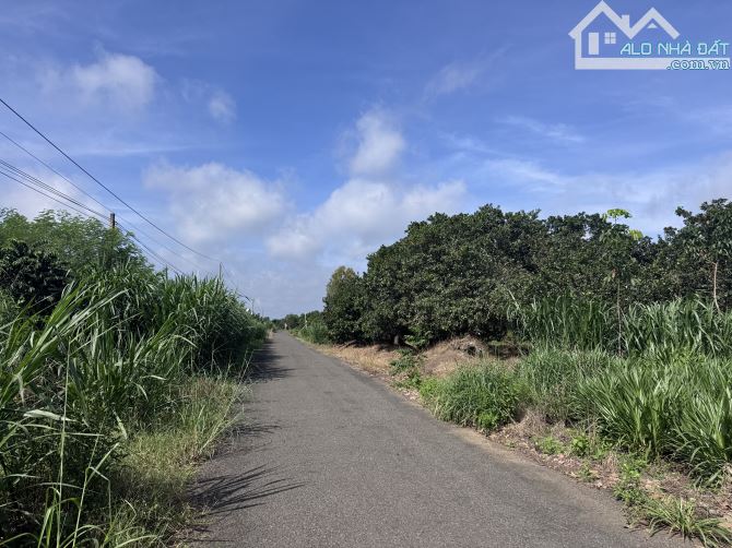 🔥 BÁN GẤP 2,2HA VIEW SÔNG BÉ – MẶT TIỀN NHỰA, DÂN CƯ HIỆN HỮU, GIÁ CHỈ 3,9 TỶ – CƠ HỘI VÀ