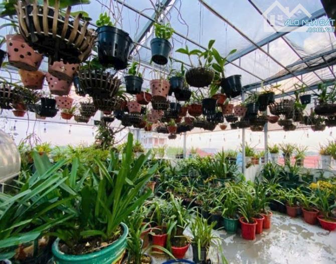 NGUYÊN KHÊ, ĐÔNG ANH,HÀ NỘI.  NHÀ 5 TẦNG, 5 PHÒNG NGỦ. THIẾT KẾ HIỆN ĐẠI, ĐẦY ĐỦ CÔNG NĂNG