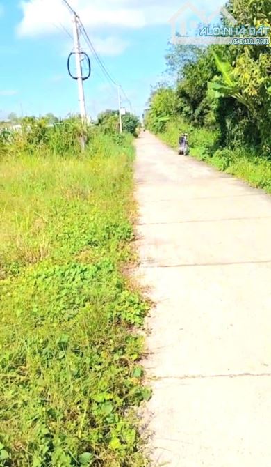 B.á.n (16x41) đất thổ, ôtô gần ngã tư Bình Ân, Gò Công Đông, Tiền Giang cũ