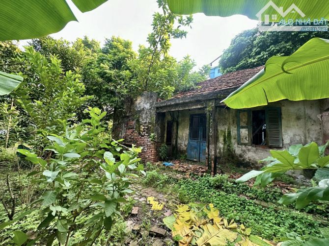 🍀VĂN CHƯƠNG 𝟰𝟮𝟬𝗠𝟮 Ô TÔ TRÁNH, MT 𝟭𝟮𝗠, VỈA HÈ KINH DOANH🔥CHỐT 𝟭𝟴𝟴𝗧𝗿/𝗺𝟮